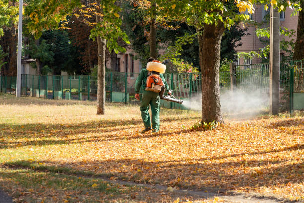 Best Commercial Pest Control Services  in Brookside, NJ